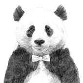 Zacman için avatar
