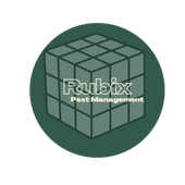 Avatar for Rubix_Pest