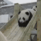 Avatar for O5170