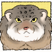 Jacoppin için avatar