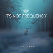 It's Not Frequency - Single
