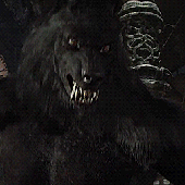 Avatar for DireWereWolf