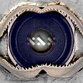 Avatar for manolo_xax