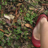 Avatar de redshoe