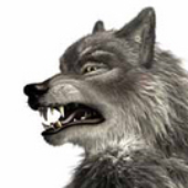 Avatar for remiwolf