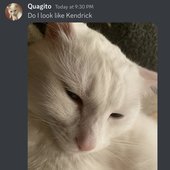 IMG_0486.jpeg