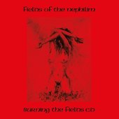 Burning The Fields CD