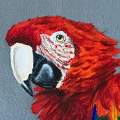 Avatar for sometablu
