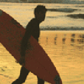 Avatar for PR0FMSURF3R69
