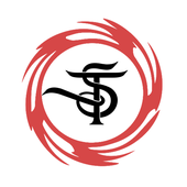 Avatar for styletrendsnews