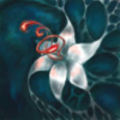 Avatar for ultrasonicmouse