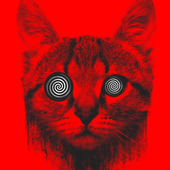 Avatar for sina613