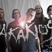 Default 1