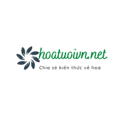 Avatar for hoatuoivn