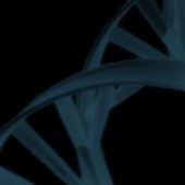 Avatar de Dytalus