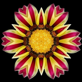 Avatar for OneTBofClav