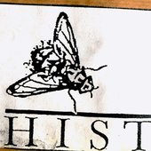 Hist.jpg