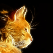 Avatar for FlamyCat