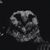 bandcamp pfp