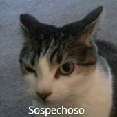 Avatar for LogicalName