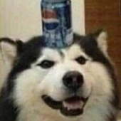 Avatar for McMentos