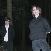 treehouse.jpg