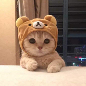 iHoz さんのアバター