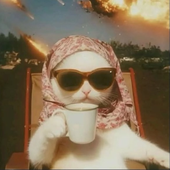 Аватар для gingeriot