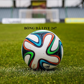 Avatar for bongdalive247