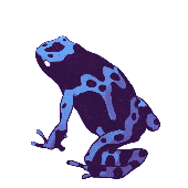 Avatar for SouptheHoop
