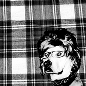 Avatar di CoffeeIsDead