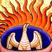 Avatar for acaciopinto