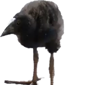 Avatar for ownero