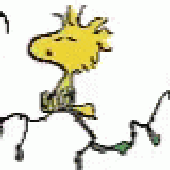 Avatar for vyycwo