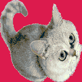 Avatar de Gozeq