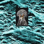 COSMICOOKS vol. 8