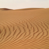 Avatar für acbradford