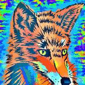 Avatar for Roofuslol