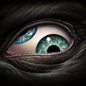 Avatar di APNIT