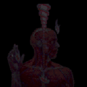Avatar for nevermind_x