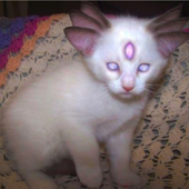 Avatar di sug_u
