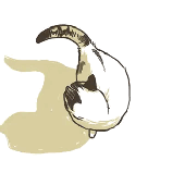 Avatar for BhaseMan