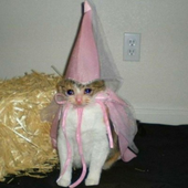 Avatar di alysts