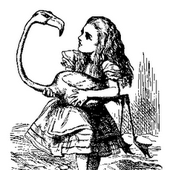 Avatar für sarah369