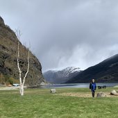 IMG_9065.jpg