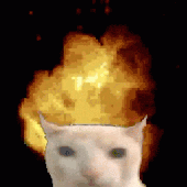 Avatar for TigeZh