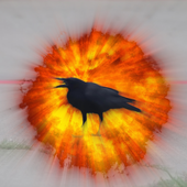 Avatar di ma314