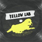 Yellow Lab - Single