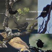 birdstep