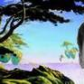 Avatar di madnil